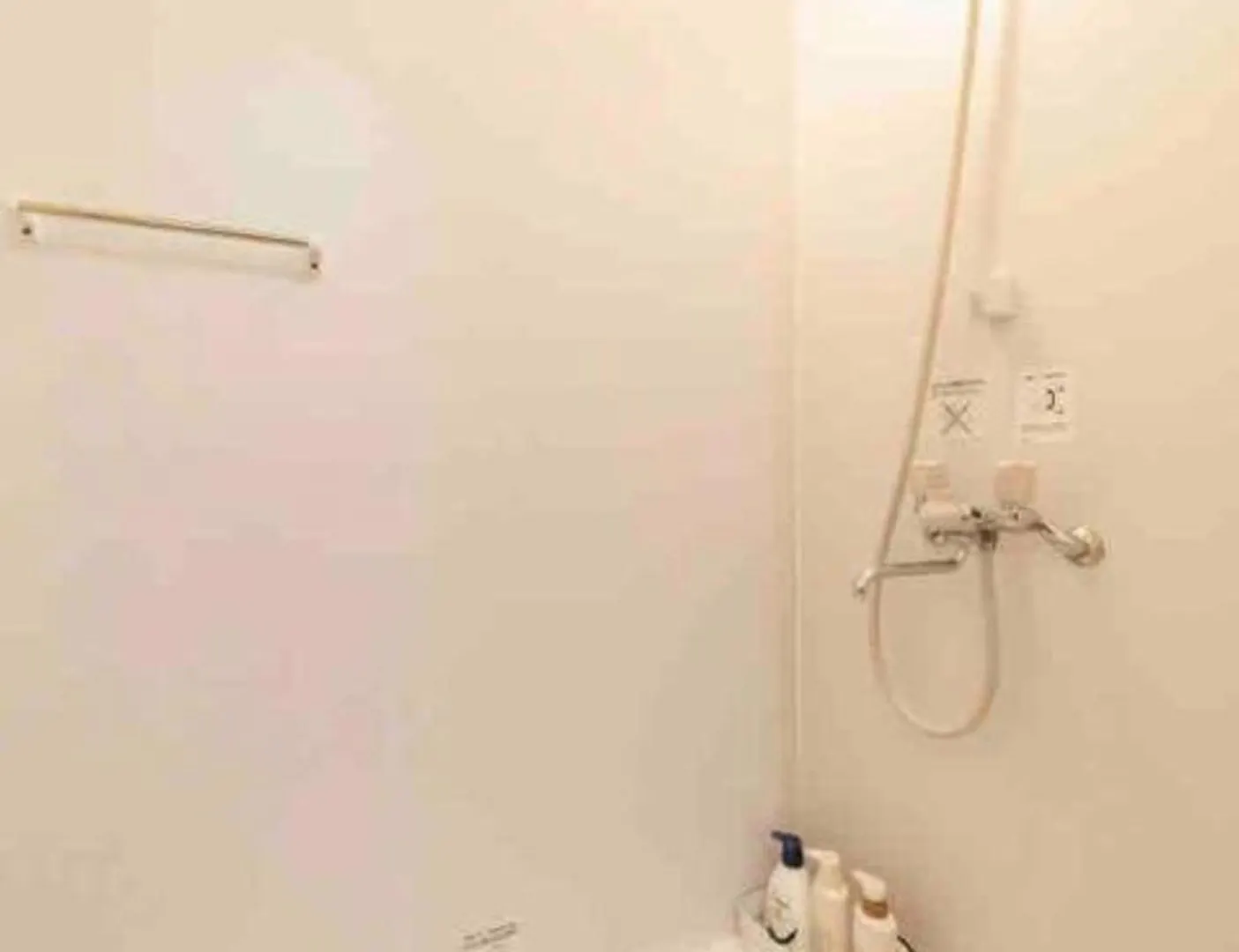55, Kameido-Suijin, Entire House For Rent 東京都 日本